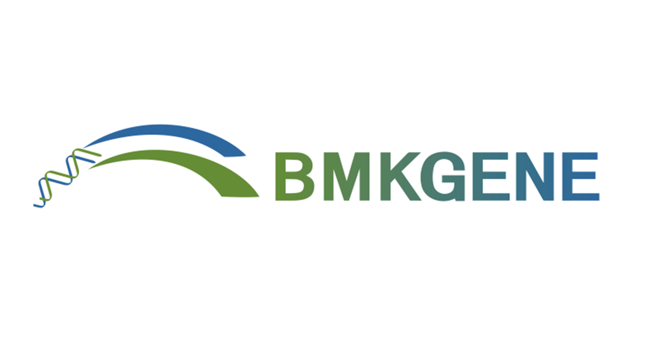 BKM.png