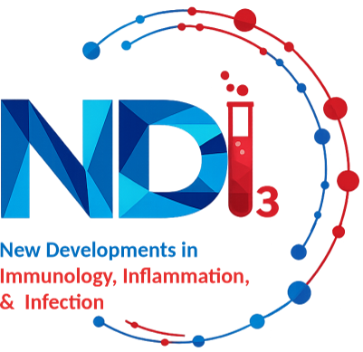 NDI3 2024 Logo kl